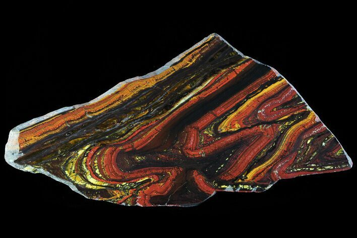 Polished Tiger Iron Stromatolite - ( Billion Years) #72904
